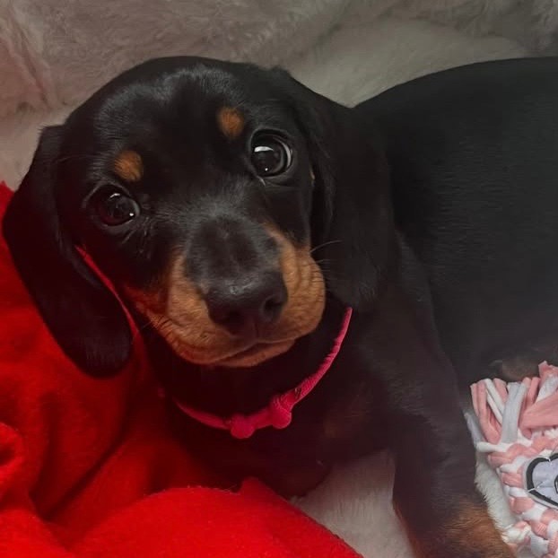 Winnie